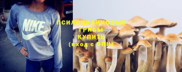 амфетамин Елизово