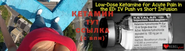 прущие крисы Ельня