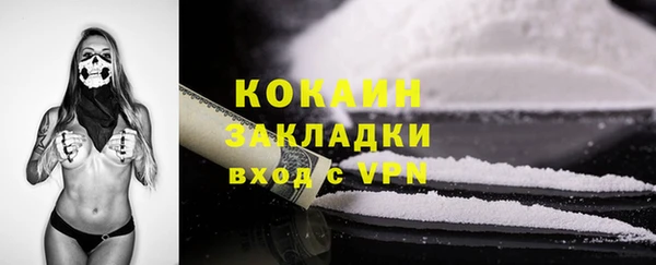 прущие крисы Ельня