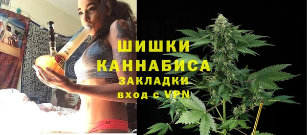 прущие крисы Ельня