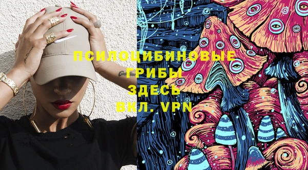 герыч Елабуга